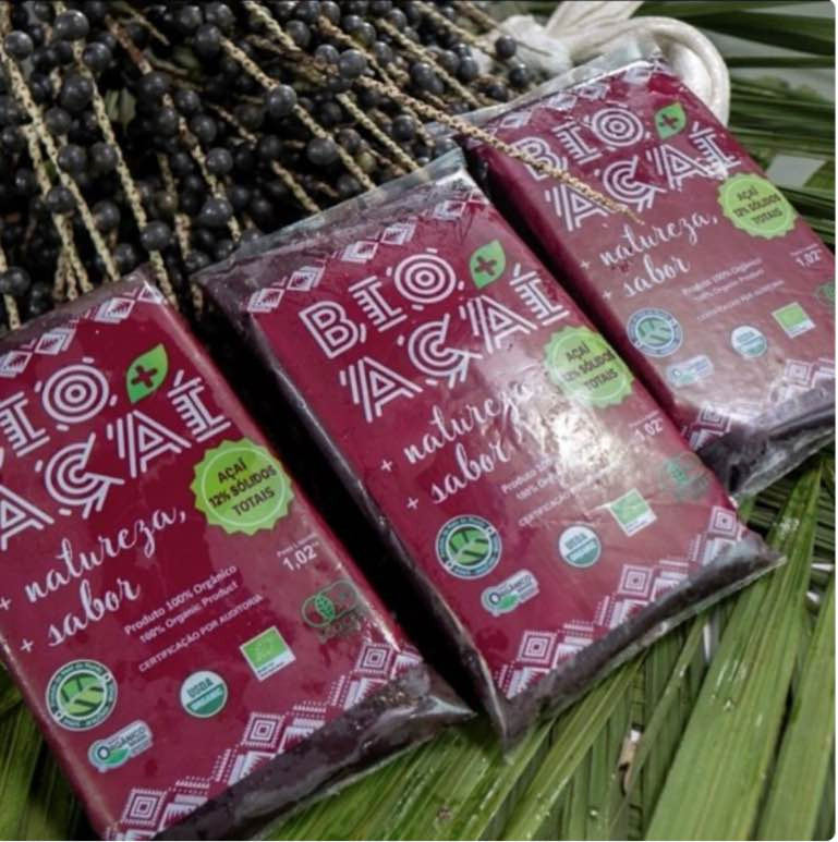 Polpa Bio Mais Açaí Orgânico 12% Sólidos: Sabor Puro e Nutritivo!